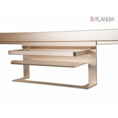  Полка под специи с полотенцедержателем TOTUS SRK221/CHMP