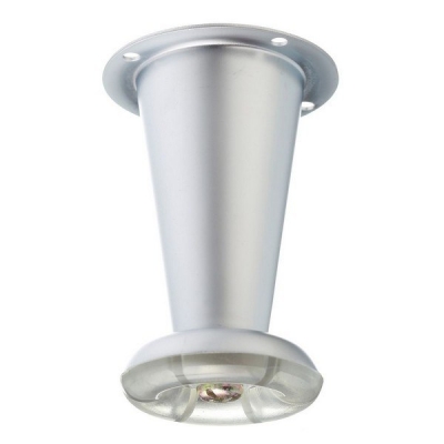  Ножка BD-780-М5 стальная, матовый хром, 150кг