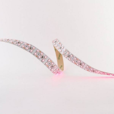  Светодиодная лента 2835, 240 д/м, 19,2W, 24V, IP20, для растений УФ-свечение, двухрядная, открытая